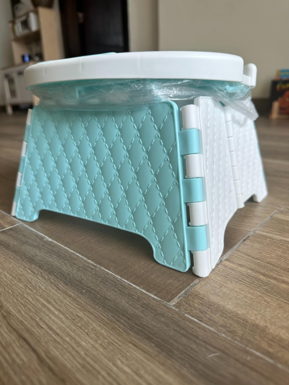 travel potty