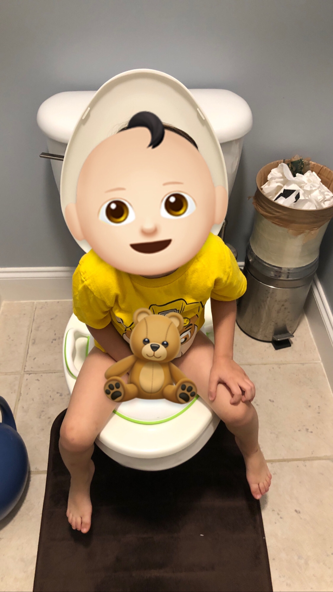 potty training toilet