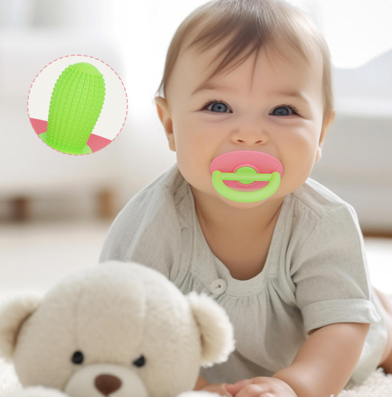 The Little Cactus That Saved Our Fingers: A Parent’s Guide to Gentle Teething Relief